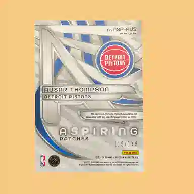 PANINI RC 119149 Patch