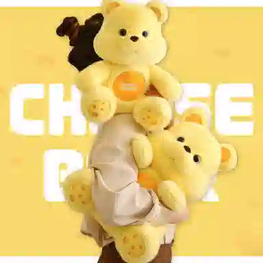 30cm35cm