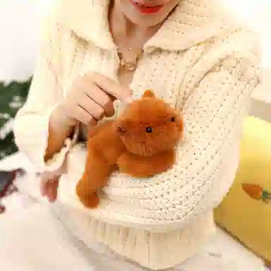 20cm
