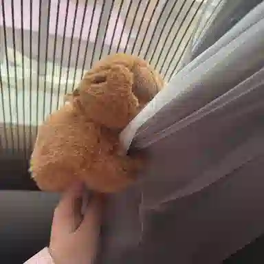 穆熊 卡皮巴拉啪啪圈 一拍即戴可当收纳窗帘 玩偶周边