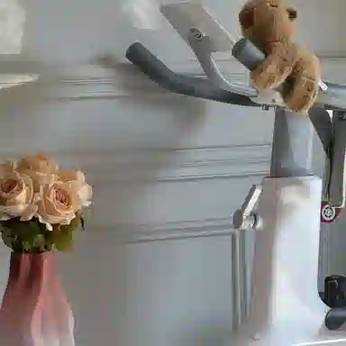 穆熊 卡皮巴拉啪啪圈 一拍即戴可当收纳窗帘 玩偶周边