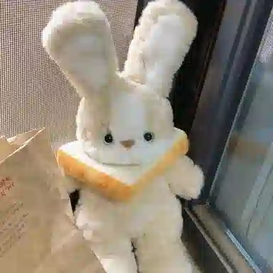 40cm