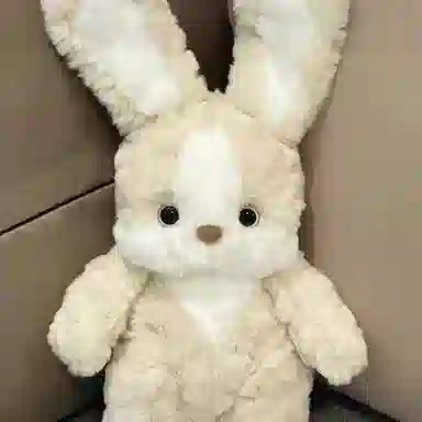 40cm