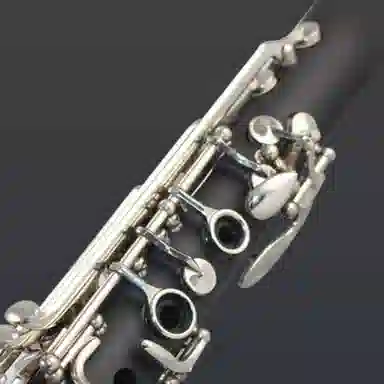 XINGHAI INSTRUMENT E-321 B )