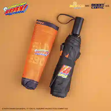 BOOM COMIC HITMAN REBORN IP