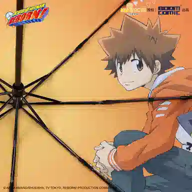 BOOM COMIC HITMAN REBORN IP