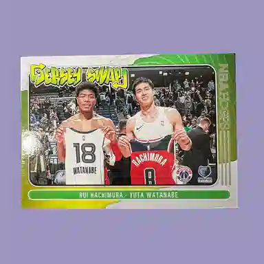 PANINI hoops