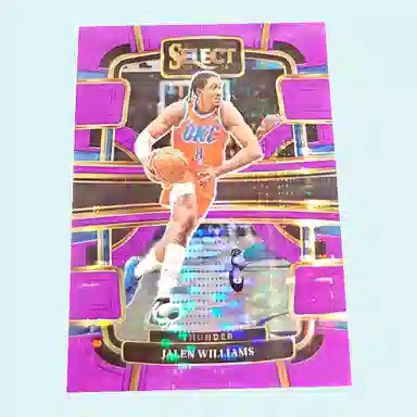 PANINI 2023-24 select 15