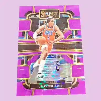 PANINI 2023-24 select 15