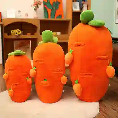 65cm75cm100cm