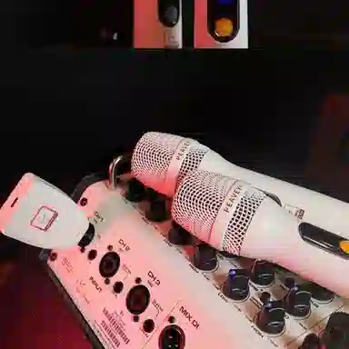 PEAVEY () P1-100W2 12