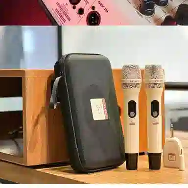 PEAVEY () P1-100W2 12