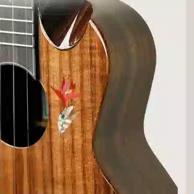 AKAMA (KOA) L.R.BAGGS 26