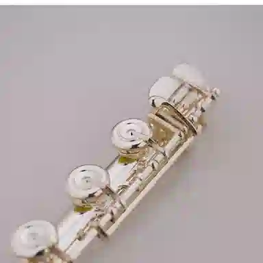 JINBAO JBFL-9148S (JINBAO) 17C