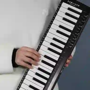 Swan 37 Key Melodica