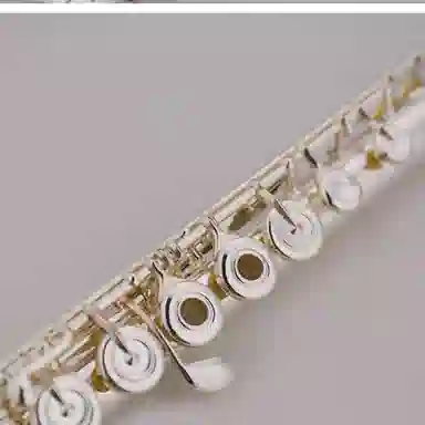 JINBAO JBFL-9148S (JINBAO) 17C