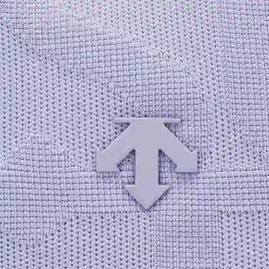 DESCENTE TRAINING Logo