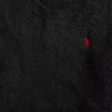 Polo Ralph Lauren FW24