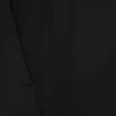 Alexander McQueen SS21