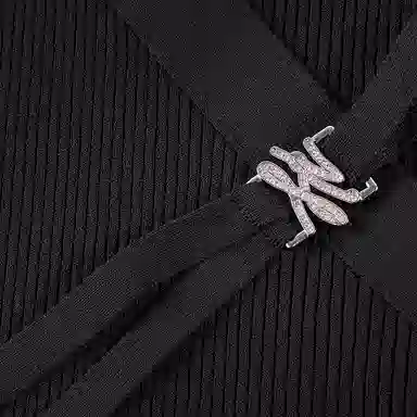 KARL LAGERFELD SS25 V