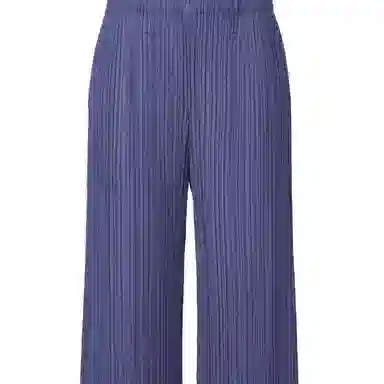 PLEATS PLEASE ISSEY MIYAKE FW25