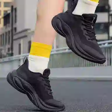 361 2.0