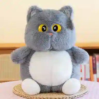 22cm35cm45cm