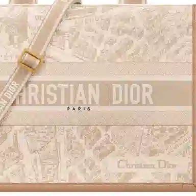 DIOR BookTote Tote