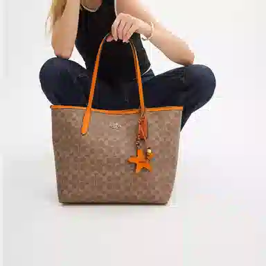 COACH Canvas Tote Bag Brown