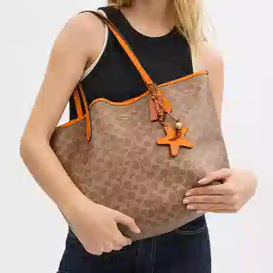 COACH Canvas Tote Bag Brown