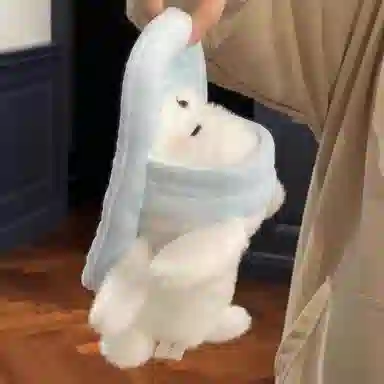 Brangdy 23cm