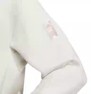 adidas Sportswear WUJI GRAPHIC TOP