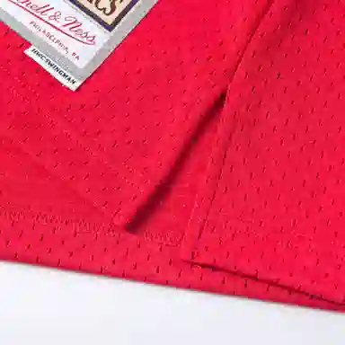 Mitchell Ness NBA SS22 SW 03-04 33