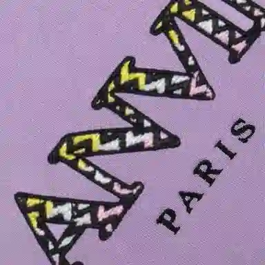 Lanvin Hoodie Purple Kids