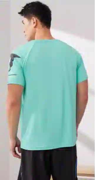 361 T