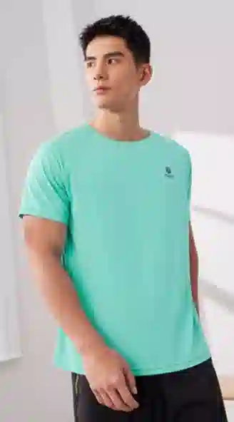 361 T