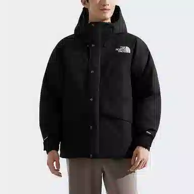 THE NORTH FACE Dryvent FW25 600