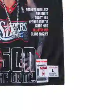 Mitchell Ness SW 76 3