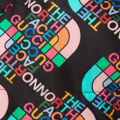 GUCCI x THE NORTH FACE FW22 Logo