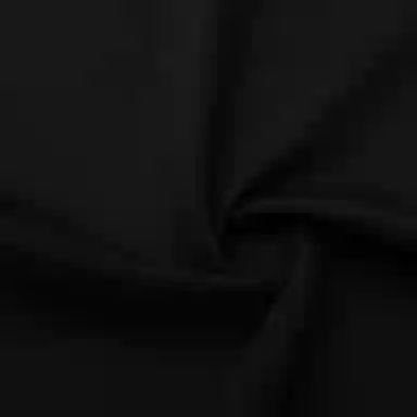 KARL LAGERFELD logoT