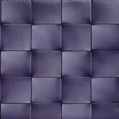 Bottega Veneta POUCH