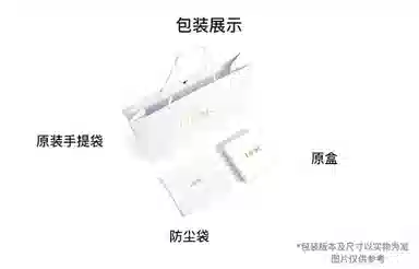 DIOR BookTote Souvenir Tote