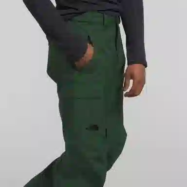 THE NORTH FACE Freedom Pants Logo