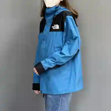 THE NORTH FACE GTX MOUNTAIN JACKET 10Logo