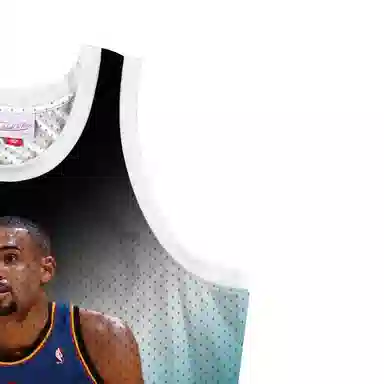 Mitchell Ness NBA 33