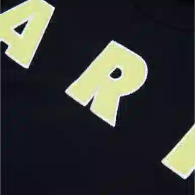 MARNI T