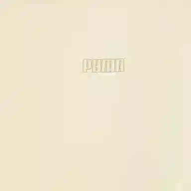 PUMA Elevatedgraphic SS25 T -87