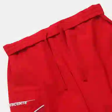 DESCENTE SPORTWEAR Logo