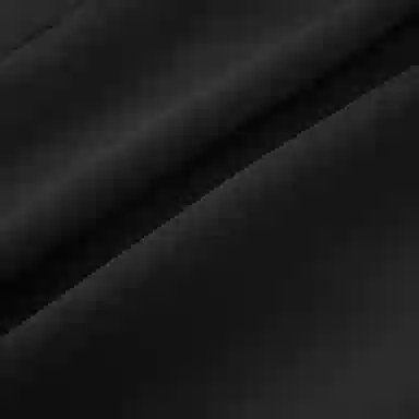 Reebok BEATS SHORTS U