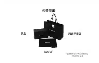 CHANEL WOC